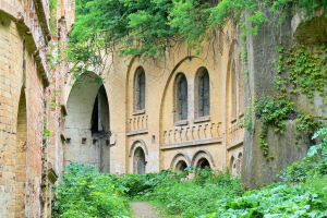 Таракановский форт